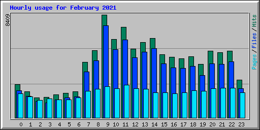 Hourly usage for February 2021